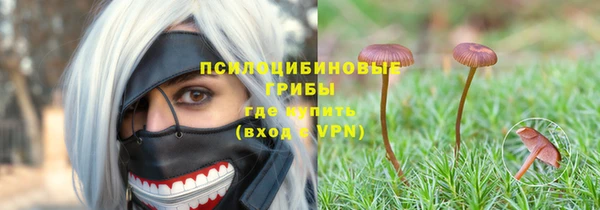 a pvp Балабаново